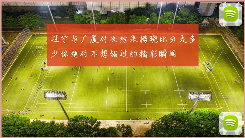 辽宁与广厦对决结果揭晓比分是多少你绝对不想错过的精彩瞬间