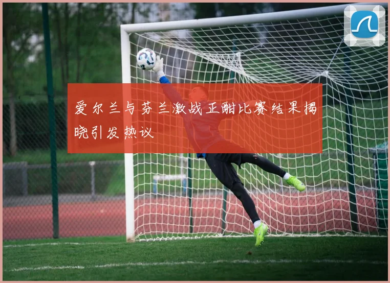 爱尔兰与芬兰激战正酣比赛结果揭晓引发热议