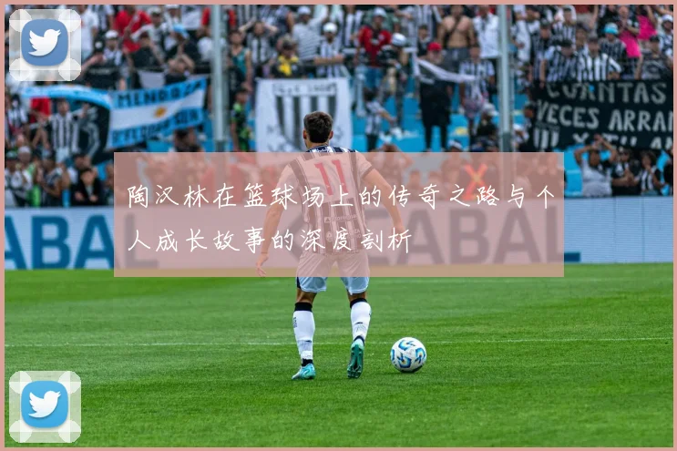 陶汉林在篮球场上的传奇之路与个人成长故事的深度剖析