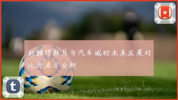 利雅得新月与汽车城的未来发展对比与启示分析